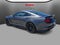 2017 Ford Mustang Shelby shelby